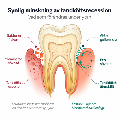 TandFörny™ | Vårdande gel för tandkött & tänder