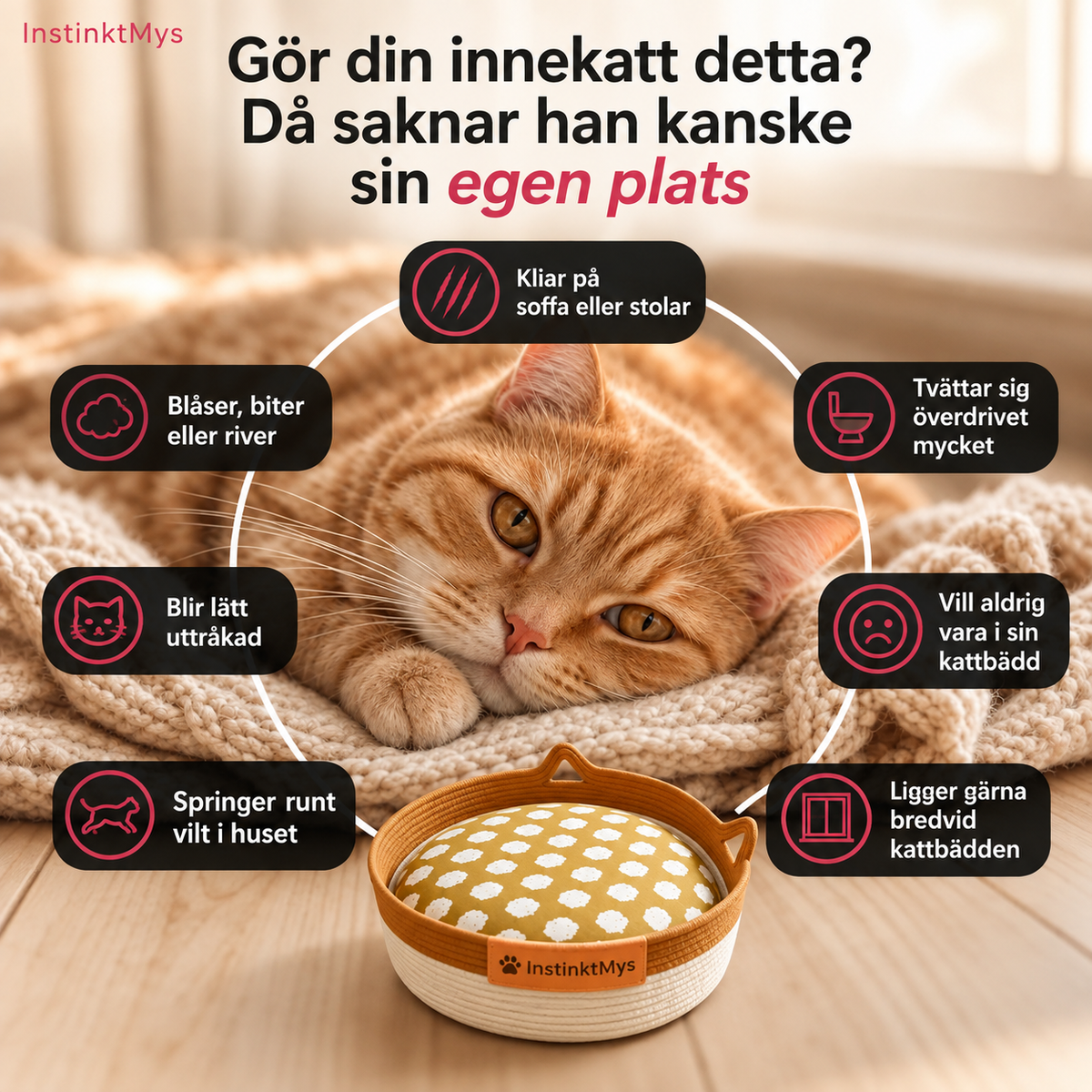InstinktMys™ | Handvävd kattbädd för vila, klös & trygghet