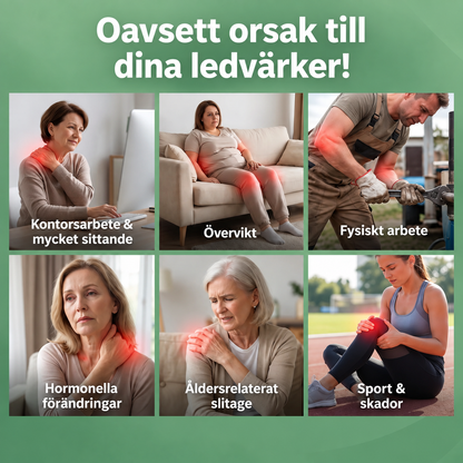 Movelia™ | Dagligt stöd för leder och smidig rörlighet