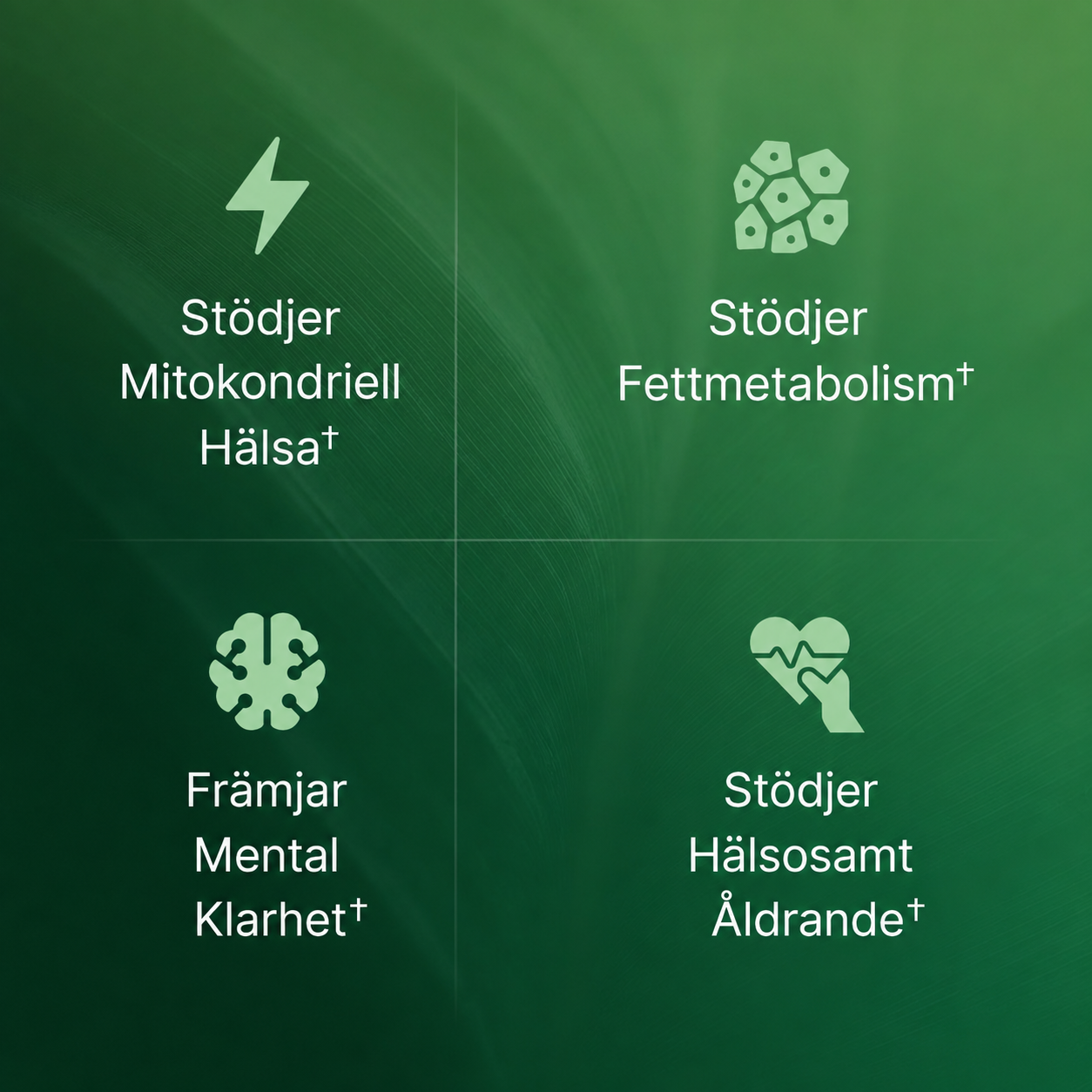 VitaCell® | Cellulärt Energikomplex