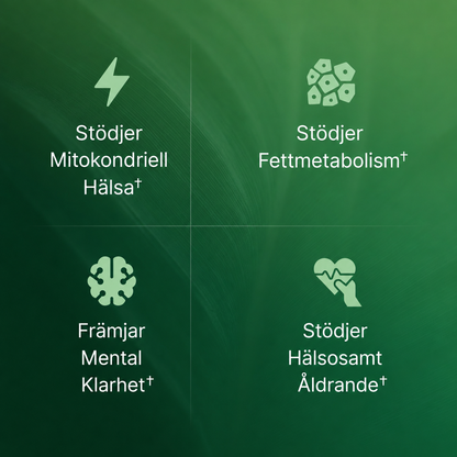 VitaCell® | Cellulärt Energikomplex