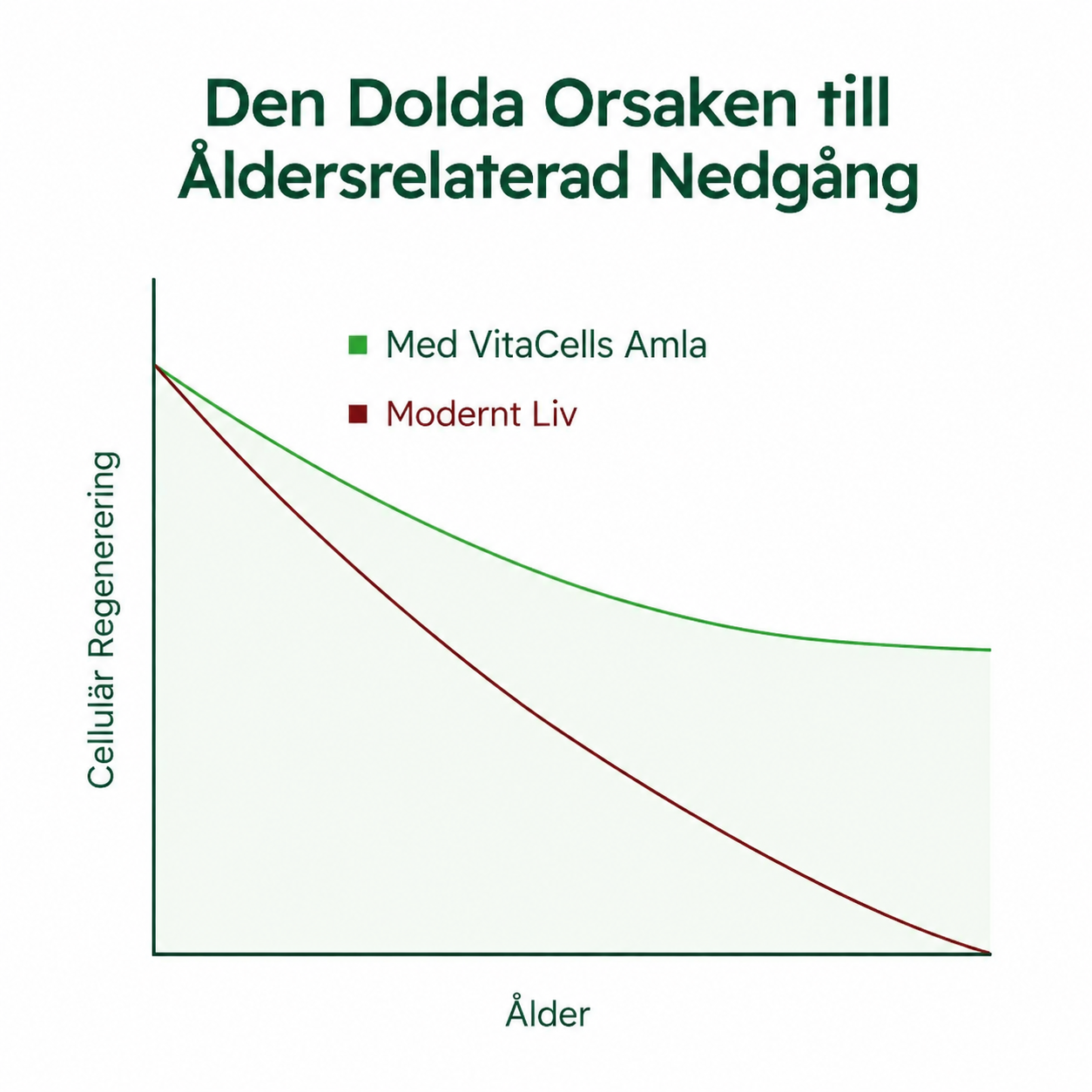 VitaCell® | Cellulärt Energikomplex