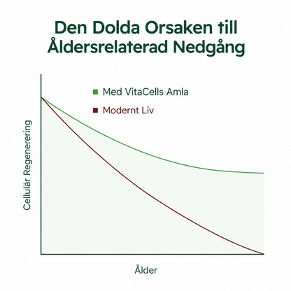VitaCell® | Cellulärt Energikomplex